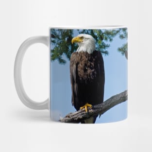 Majestic Bald Eagle Mug